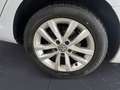 Volkswagen Golf Variant Golf Variant 1.6 TDI 115 CV Business BlueMotion T Weiß - thumbnail 14