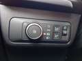 Ford Kuga 2.5 Duratec FHEV ST-LINE *AHK*WinterPk* Grigio - thumbnail 19