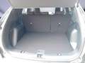 Ford Kuga 2.5 Duratec FHEV ST-LINE *AHK*WinterPk* Grigio - thumbnail 7
