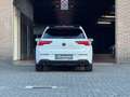 Volkswagen Golf GTI Clubsport 45 Jahre | Pano | Akrapovic | H&K | IQ Blanc - thumbnail 5