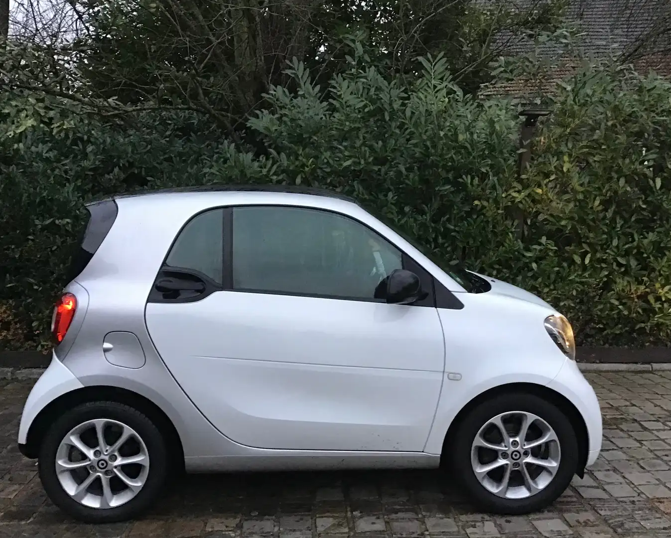 smart forTwo Weiß - 1