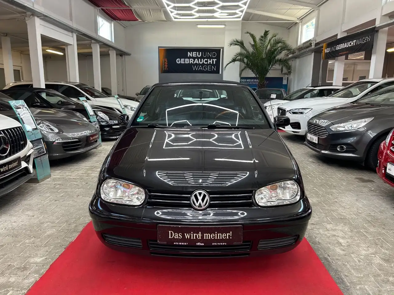 Volkswagen Golf 1.6 Highline*1.HAND*ZAHNRIEHMEN NEU*TÜV NEU, foto 2