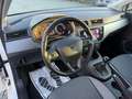SEAT Ibiza Style*Scheckheftgepflegt*CarPlay*8Fach* Blanc - thumbnail 9