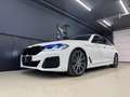 BMW 530 530xd G30`LCI LOOK`LEDER`LED`HUD`NAVI`AMBIENTE`RFK Weiß - thumbnail 3