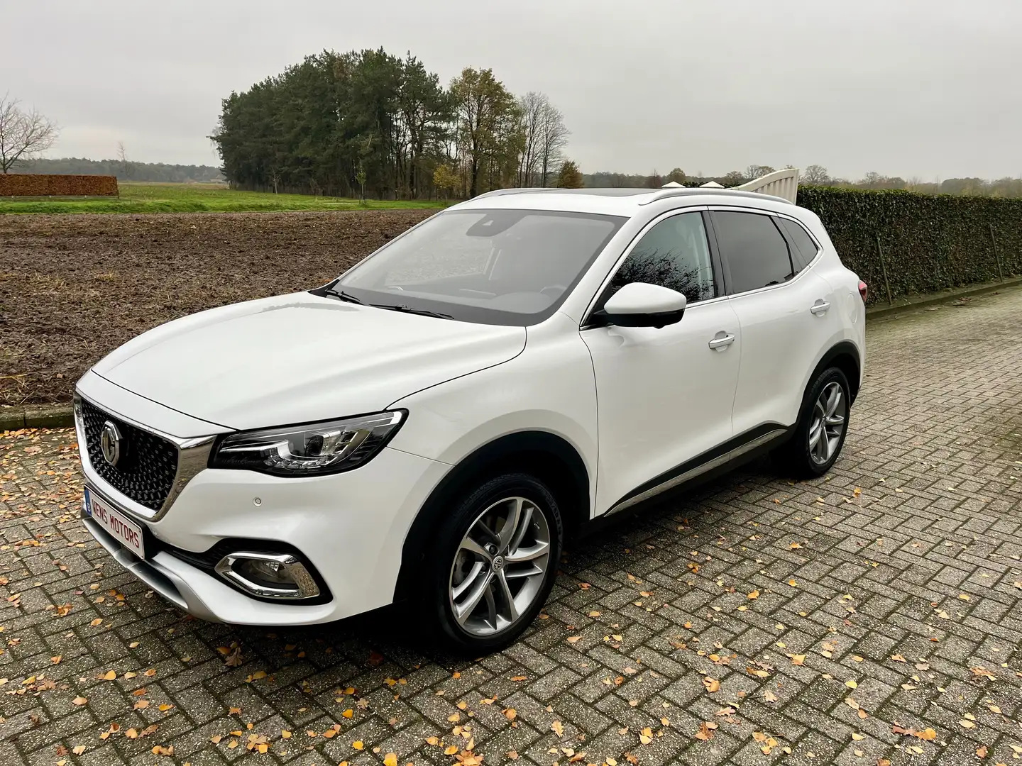 MG EHS Luxury PHEV 2024 Pano/360/Carplay/Leder/Trekhaak Blanc - 1