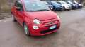 Fiat 500 NEOPATENTATI 500  1.0 hybrid 70cv TG : GP830AT Rot - thumbnail 3