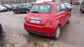 Fiat 500 NEOPATENTATI 500  1.0 hybrid 70cv TG : GP830AT Rot - thumbnail 5