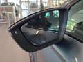CUPRA Ateca 2,0 TSI 4Drive DSG *AHK*Pano*Brembo*LED* Grau - thumbnail 20