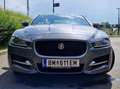 Jaguar XE XE 20d R-Sport AWD Aut. R-Sport Grau - thumbnail 16