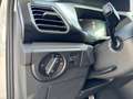 Volkswagen T-Cross GOAL 1.0 TSI EINPARKHILFEN SHZ KLIMA LED Gris - thumbnail 15