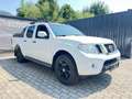 Nissan Navara 2.5 dCi DPF Double Cab SE 4x4 LB Weiß - thumbnail 3