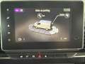 Renault Trafic FOURGON L1H1 3T BLUE DCI 150 AUTO BVA9 RED EDITION Gris - thumbnail 20