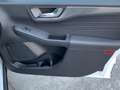Ford Kuga 1.5 EcoBoost Titanium FWD 150 Wit - thumbnail 10
