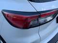 Ford Kuga 1.5 EcoBoost Titanium FWD 150 Wit - thumbnail 16