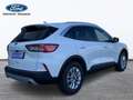 Ford Kuga 1.5 EcoBoost Titanium FWD 150 Wit - thumbnail 3