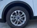 Ford Kuga 1.5 EcoBoost Titanium FWD 150 Wit - thumbnail 13