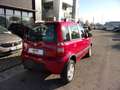 Fiat Panda Panda 1.3 MJT  4x4 Climbing - thumbnail 5
