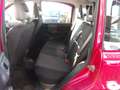 Fiat Panda Panda 1.3 MJT  4x4 Climbing - thumbnail 9