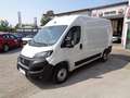 Fiat Ducato 35 L2H2 140 Kasten 1470kg NUTZLAST - € 26.000,-... Weiß - thumbnail 1