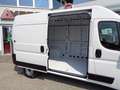 Fiat Ducato 35 L2H2 140 Kasten 1470kg NUTZLAST - € 26.000,-... Weiß - thumbnail 9