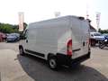 Fiat Ducato 35 L2H2 140 Kasten 1470kg NUTZLAST - € 26.000,-... Weiß - thumbnail 5