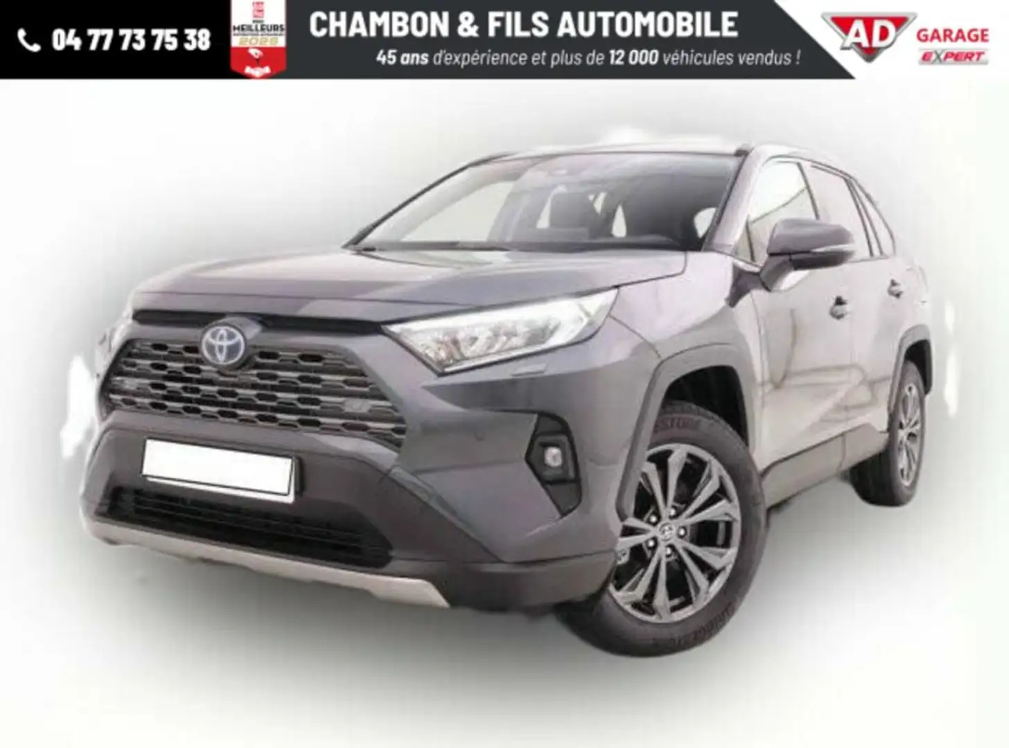 Toyota RAV-4 2.5 Hybrid 218 2WD Dynamic Plus Gris - 1