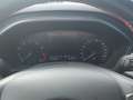 Ford Focus 4ª serie - Focus 1.0 EcoBoost Hybrid 125 CV 5p. Bu Grigio - thumbnail 12