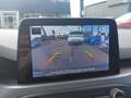 Ford Focus 4ª serie - Focus 1.0 EcoBoost Hybrid 125 CV 5p. Bu Grigio - thumbnail 13