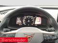 CUPRA Formentor 1.5 TSI AHK LED NAVI Weiß - thumbnail 14