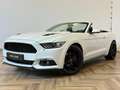 Ford Mustang Convertible 2.3 EcoBoost|CABRIO|AUTOMAAT|INRUIL MO Wit - thumbnail 8