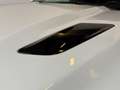 Ford Mustang Convertible 2.3 EcoBoost|CABRIO|AUTOMAAT|INRUIL MO Wit - thumbnail 22