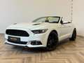 Ford Mustang Convertible 2.3 EcoBoost|CABRIO|AUTOMAAT|INRUIL MO Wit - thumbnail 3