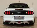 Ford Mustang Convertible 2.3 EcoBoost|CABRIO|AUTOMAAT|INRUIL MO Wit - thumbnail 4