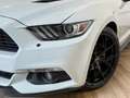 Ford Mustang Convertible 2.3 EcoBoost|CABRIO|AUTOMAAT|INRUIL MO Wit - thumbnail 33