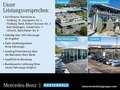 Mercedes-Benz EQE 43 4MATIC AIRMATIC+LEDER+PANO+360°+BURMESTER Blanco - thumbnail 19