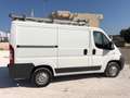 Fiat Ducato 33 2.3 MJT 130CV PC-TN OFFICINA MOBILE Bianco - thumbnail 3