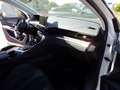 Peugeot 3008 3008 PureTech 130 Stop-UNFALLFREI Weiß - thumbnail 14