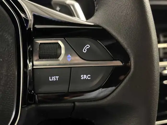 Peugeot 2008 view 19
