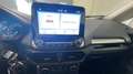 Ford EcoSport 1.0 ecoboost Plus 100cv Blu/Azzurro - thumbnail 12
