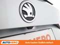Skoda Kodiaq 2.0 TDI Style 4x4 *PDC*BT*SHZ*7SITZ* Grau - thumbnail 34