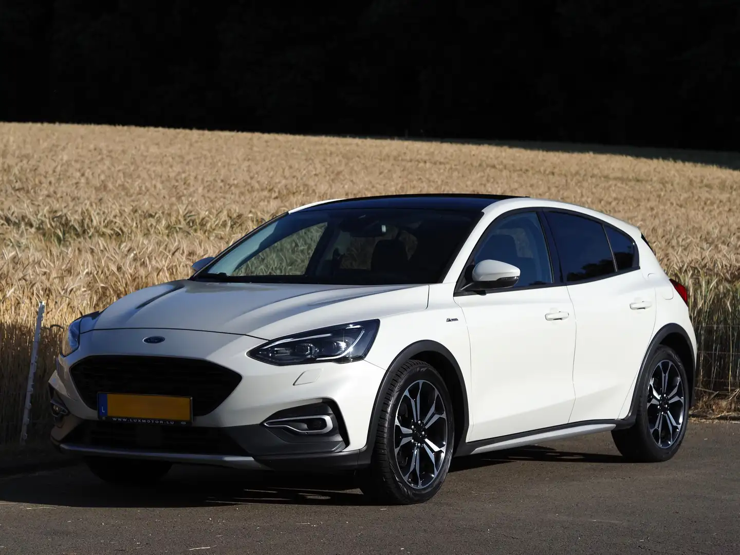 Ford Focus 1.5 EcoBoost - Active Business Blanc - 1