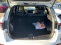 Hyundai TUCSON 1.6 T-GDI N Line ACC+LED+Navi+SHZ+360+LM Weiß - thumbnail 13