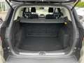 Ford Kuga 1.5 EcoBoost AWD Aut. Titanium Xenon/RFK Grau - thumbnail 12