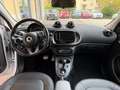 smart forFour 1.1 Passion softouch - thumbnail 9