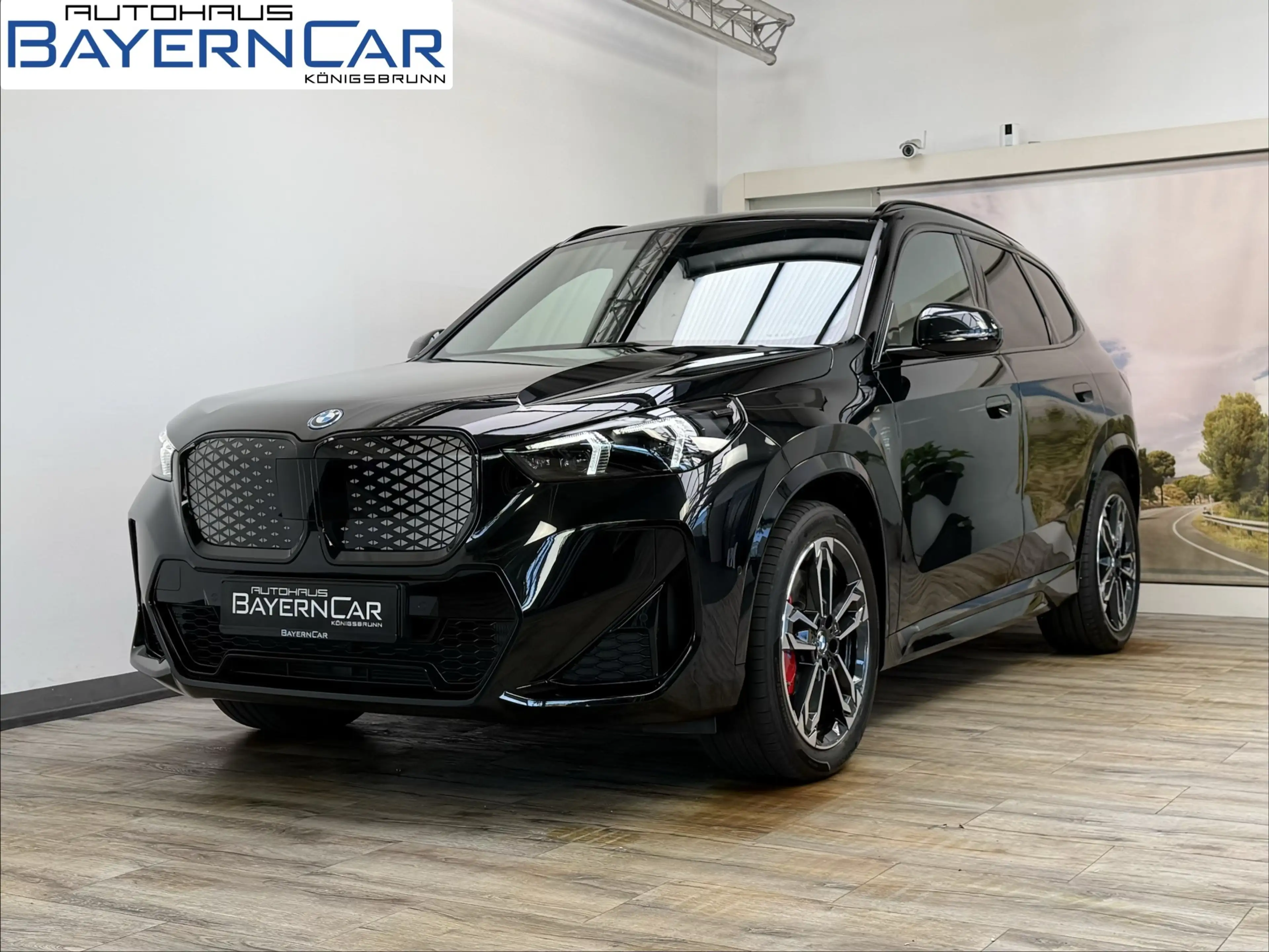 BMW X1 eDrive20 M Sport Pro ACC H&K MemorySitze LED