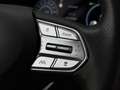 Hyundai SANTA FE BLACK FRIDAY DEAL |1.6 T-GDi HEV 230pk Aut. Premiu Noir - thumbnail 17