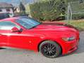 Ford Mustang Fastback 2.3 EcoBoost 317 Rouge - thumbnail 9
