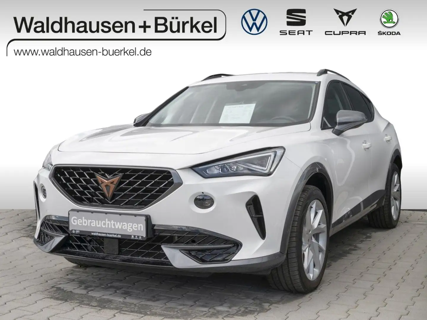 CUPRA Formentor 1.5 TSI +LED Klima Sitzheizung Wit - 1