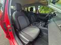 SEAT Ibiza 1,0 Austria Edition Rot - thumbnail 9