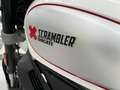 Ducati Scrambler Desert Sled Biały - thumbnail 9